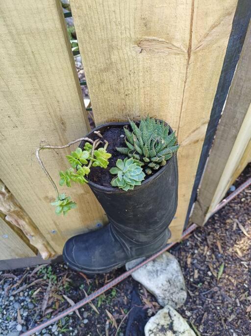 Gumboot Paradise Eco Stay Barrytown Kültér fotó
